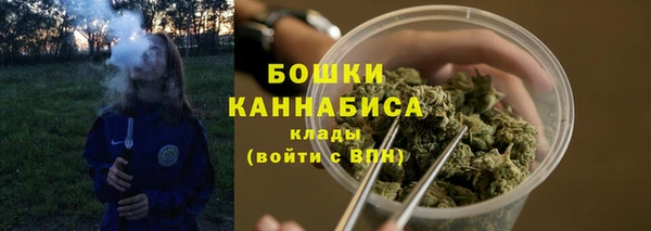 ГАЛЛЮЦИНОГЕННЫЕ ГРИБЫ Арсеньев