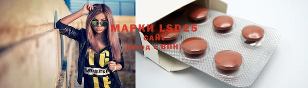 ГАЛЛЮЦИНОГЕННЫЕ ГРИБЫ Арсеньев