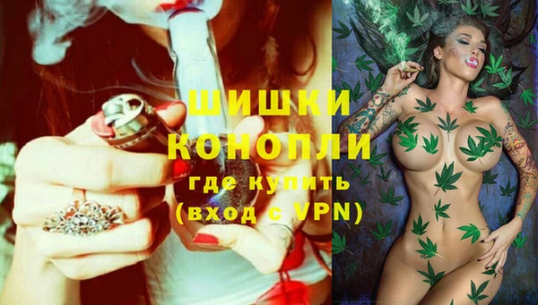 ГАЛЛЮЦИНОГЕННЫЕ ГРИБЫ Арсеньев