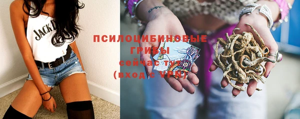 ГАЛЛЮЦИНОГЕННЫЕ ГРИБЫ Арсеньев
