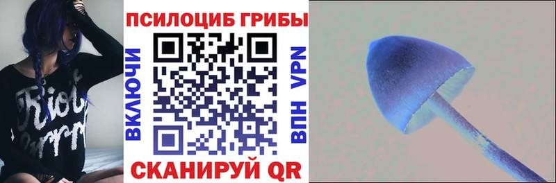 Галлюциногенные грибы Psilocybine cubensis  omg зеркало  это Telegram  Ноябрьск 
